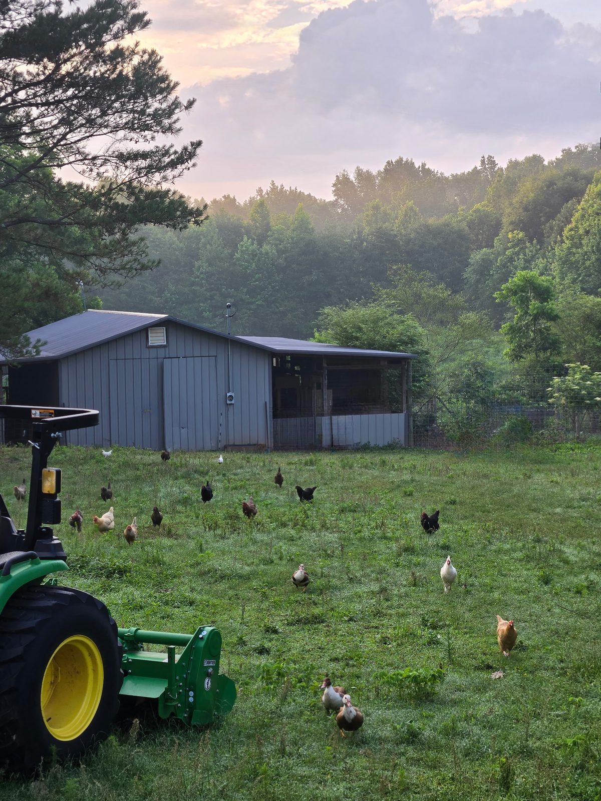 The farm at golden hour