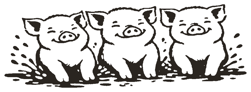 Three happy pasture-raised piglets playing in the mud
